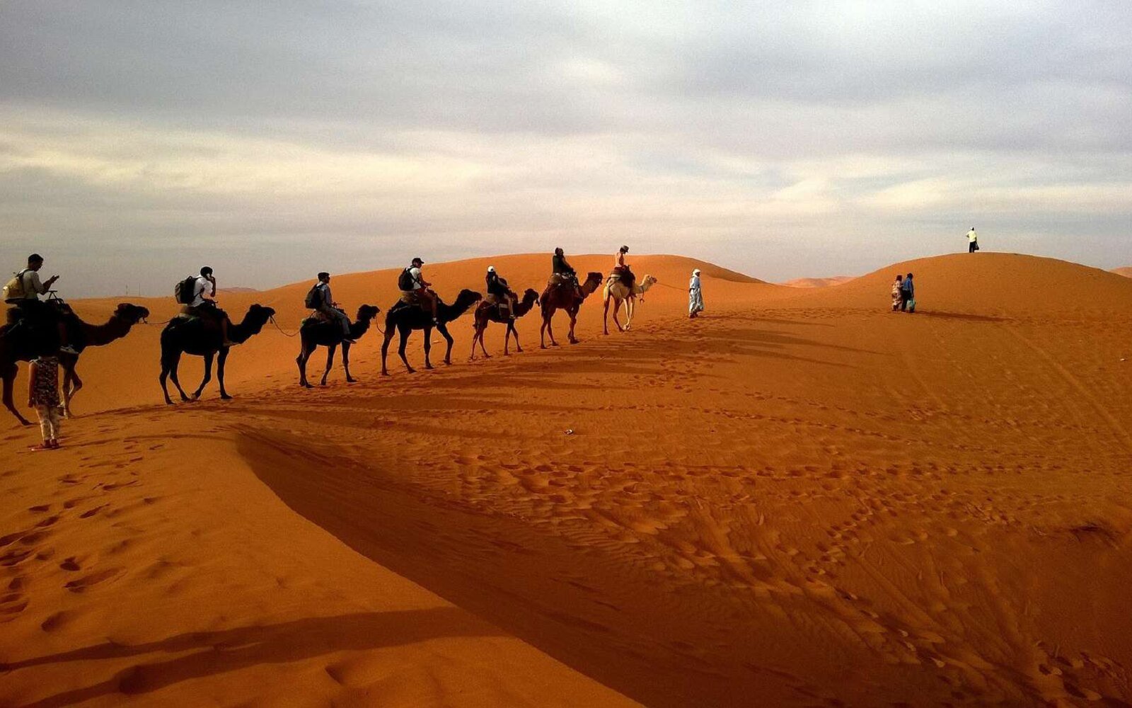 Camel Ride on the Dunes & Beach