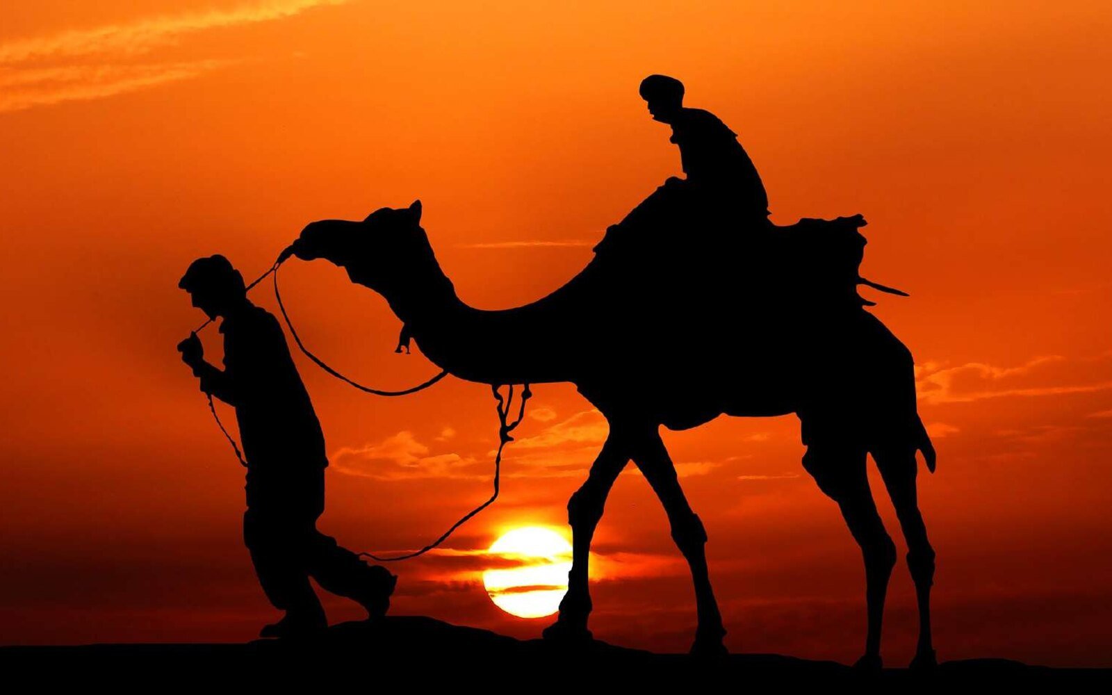 Camel Ride on the Dunes & Beach