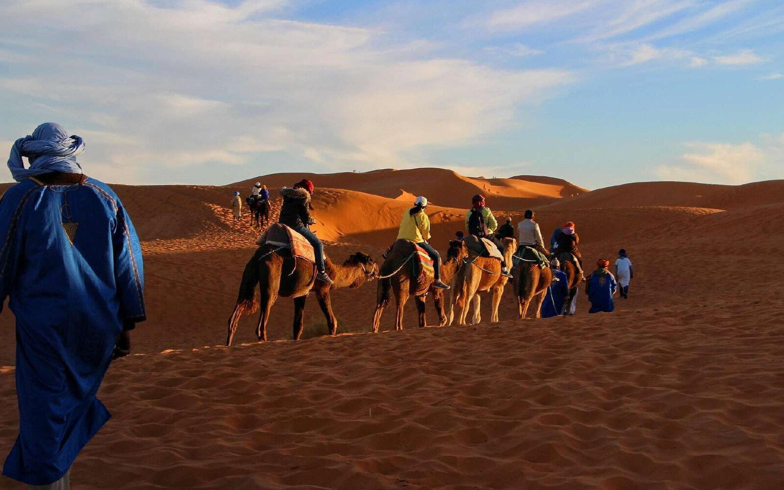 Camel Ride on the Dunes & Beach