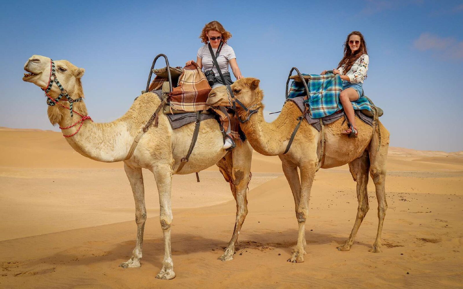 Camel Ride on the Dunes & Beach