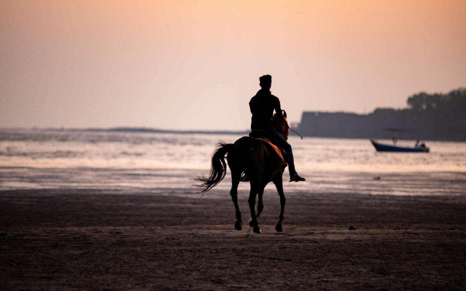 Horse Riding Through Forest & River
